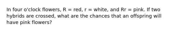 In four o'clock flowers, R = red, r = white, and Rr = pink. If two hybrids are crossed, what are the chances that an offspring will have pink flowers?