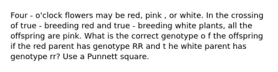 Four - o'clock flowers may be red, pink , or white. In the crossing of true - breeding red and true - breeding white plants, all the offspring are pink. What is the correct genotype o f the offspring if the red parent has genotype RR and t he white parent has genotype rr? Use a Punnett square.