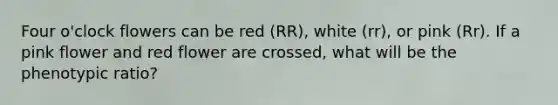 Four o'clock flowers can be red (RR), white (rr), or pink (Rr). If a pink flower and red flower are crossed, what will be the phenotypic ratio?