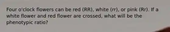 Four o'clock flowers can be red (RR), white (rr), or pink (Rr). If a white flower and red flower are crossed, what will be the phenotypic ratio?