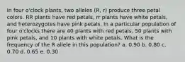 In four o'clock plants, two alleles (R, r) produce three petal colors. RR plants have red petals, rr plants have white petals, and heterozygotes have pink petals. In a particular population of four o'clocks there are 40 plants with red petals, 50 plants with pink petals, and 10 plants with white petals. What is the frequency of the R allele in this population? a. 0.90 b. 0.80 c. 0.70 d. 0.65 e. 0.30