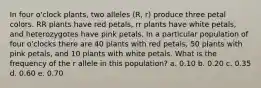 In four o'clock plants, two alleles (R, r) produce three petal colors. RR plants have red petals, rr plants have white petals, and heterozygotes have pink petals. In a particular population of four o'clocks there are 40 plants with red petals, 50 plants with pink petals, and 10 plants with white petals. What is the frequency of the r allele in this population? a. 0.10 b. 0.20 c. 0.35 d. 0.60 e. 0.70