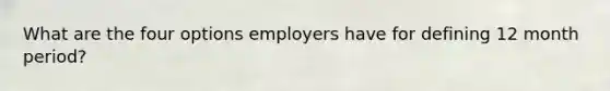 What are the four options employers have for defining 12 month period?