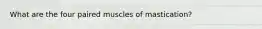 What are the four paired muscles of mastication?