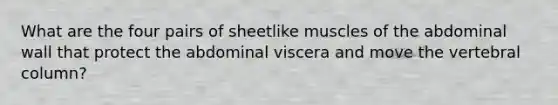 What are the four pairs of sheetlike muscles of the abdominal wall that protect the abdominal viscera and move the vertebral column?