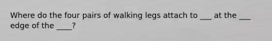 Where do the four pairs of walking legs attach to ___ at the ___ edge of the ____?