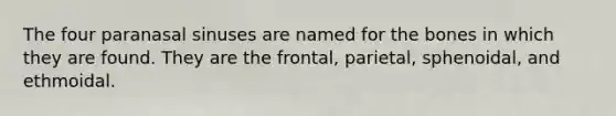 The four paranasal sinuses are named for the bones in which they are found. They are the frontal, parietal, sphenoidal, and ethmoidal.