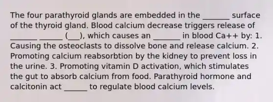 The four parathyroid glands are embedded in the _______ surface of the thyroid gland. Blood calcium decrease triggers release of _______ ______ (___), which causes an _______ in blood Ca++ by: 1. Causing the osteoclasts to dissolve bone and release calcium. 2. Promoting calcium reabsorbtion by the kidney to prevent loss in the urine. 3. Promoting vitamin D activation, which stimulates the gut to absorb calcium from food. Parathyroid hormone and calcitonin act ______ to regulate blood calcium levels.