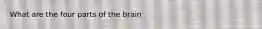 What are the four parts of the brain