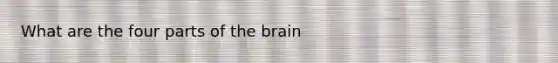 What are the four parts of the brain