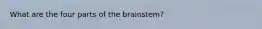 What are the four parts of the brainstem?