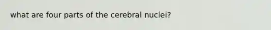 what are four parts of the cerebral nuclei?