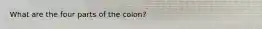 What are the four parts of the colon?