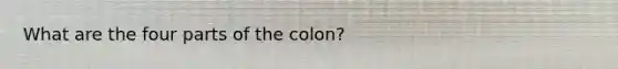 What are the four parts of the colon?