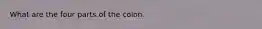 What are the four parts of the colon