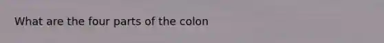 What are the four parts of the colon