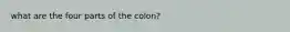 what are the four parts of the colon?