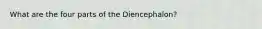 What are the four parts of the Diencephalon?