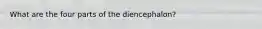 What are the four parts of the diencephalon?