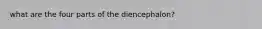 what are the four parts of the diencephalon?
