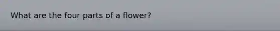 What are the four parts of a flower?