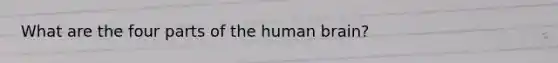 What are the four parts of the human brain?