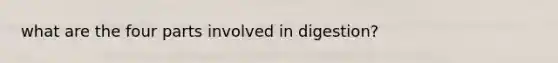 what are the four parts involved in digestion?