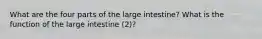 What are the four parts of the large intestine? What is the function of the large intestine (2)?