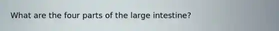 What are the four parts of the large intestine?