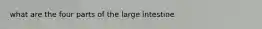 what are the four parts of the large intestine