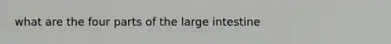 what are the four parts of the large intestine