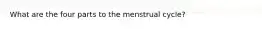What are the four parts to the menstrual cycle?