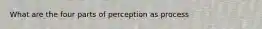 What are the four parts of perception as process