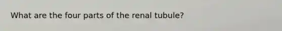 What are the four parts of the renal tubule?