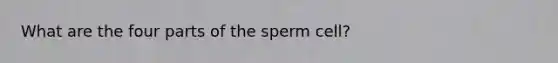 What are the four parts of the sperm cell?