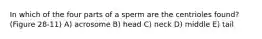 In which of the four parts of a sperm are the centrioles found? (Figure 28-11) A) acrosome B) head C) neck D) middle E) tail