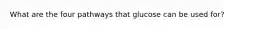 What are the four pathways that glucose can be used for?