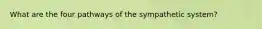 What are the four pathways of the sympathetic system?