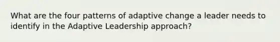 What are the four patterns of adaptive change a leader needs to identify in the Adaptive Leadership approach?