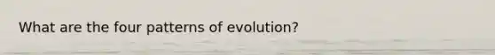 What are the four patterns of evolution?