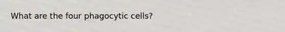 What are the four phagocytic cells?