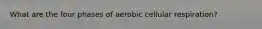 What are the four phases of aerobic cellular respiration?