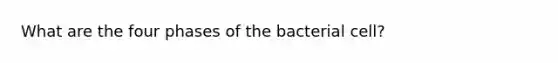 What are the four phases of the bacterial cell?