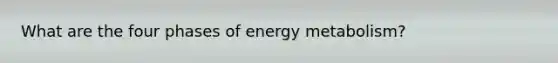 What are the four phases of energy metabolism?