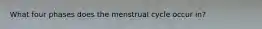 What four phases does the menstrual cycle occur in?