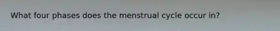 What four phases does the menstrual cycle occur in?