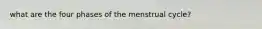 what are the four phases of the menstrual cycle?