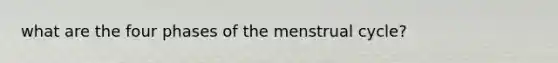 what are the four phases of the menstrual cycle?