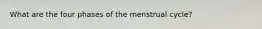 What are the four phases of the menstrual cycle?