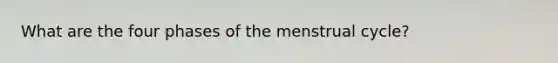 What are the four phases of the menstrual cycle?